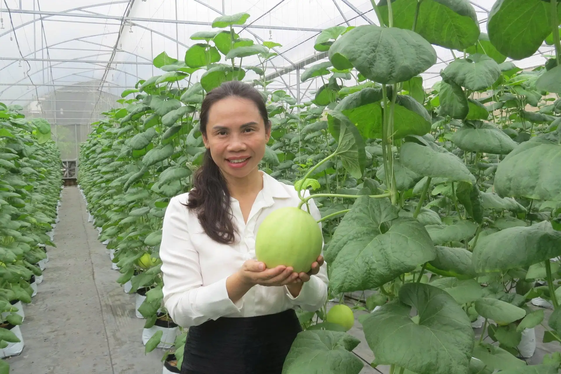 Trước thềm Diễn đàn lắng nghe nông dân: Nông dân kiến nghị khơi thông đất đai, cơ chế đột phá cho chuyển đổi số