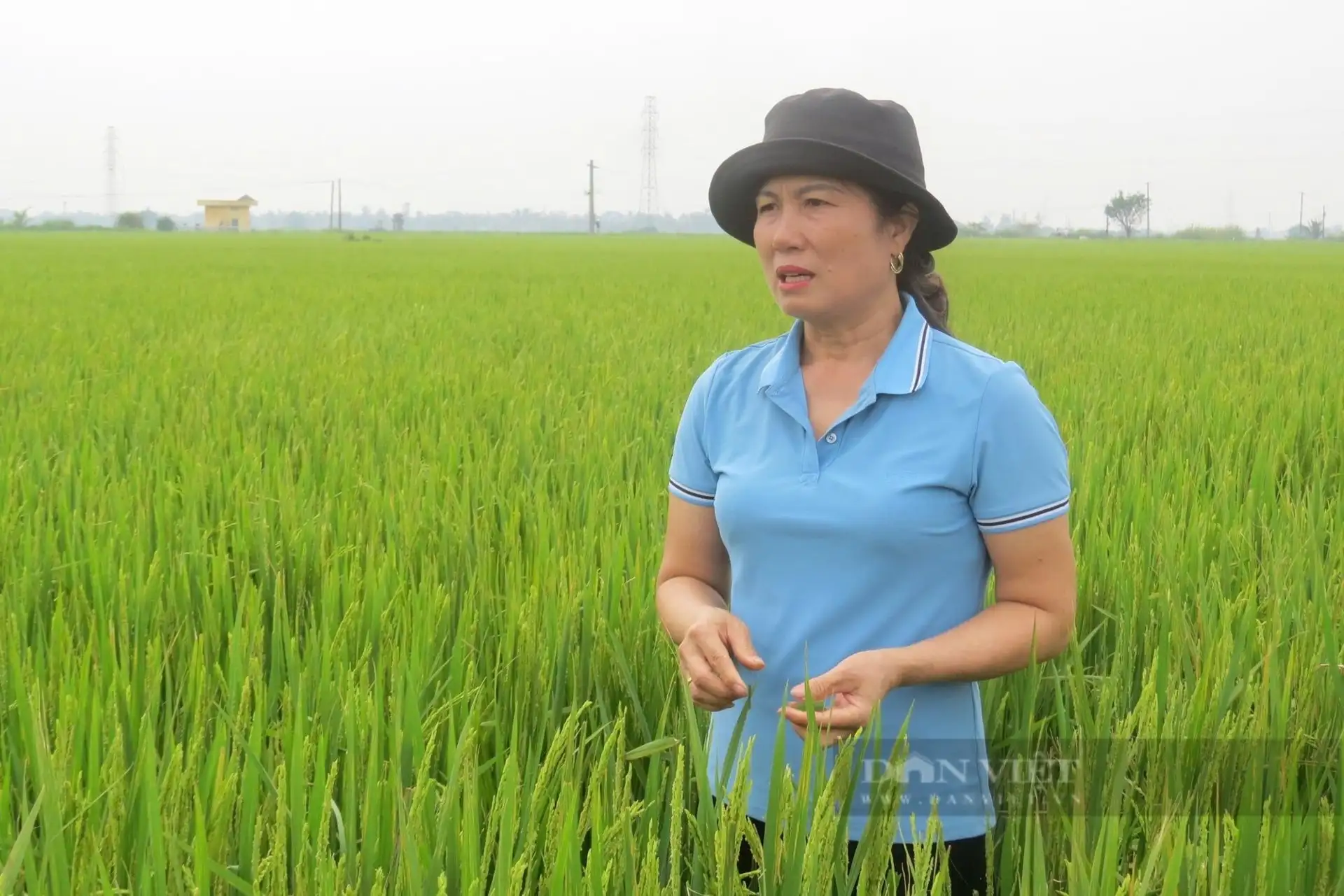 Trước thềm Diễn đàn lắng nghe nông dân: Nông dân kiến nghị khơi thông đất đai, cơ chế đột phá cho chuyển đổi số