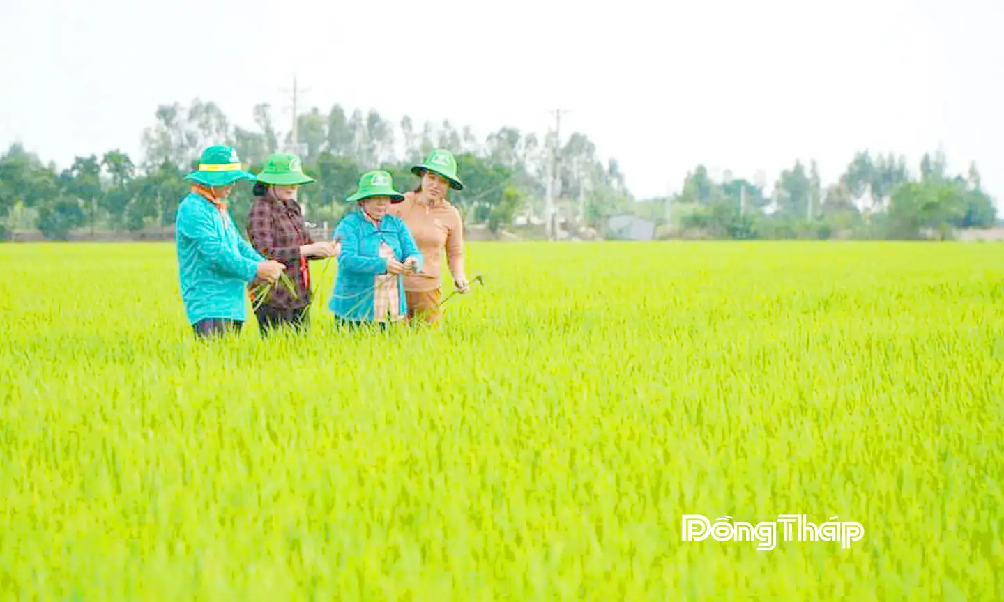 Trường Xuân: Hướng đến xã nông thôn mới nâng cao