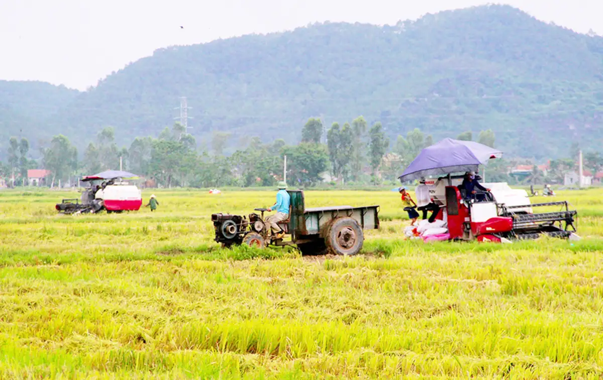 Tư duy ‘dám làm’ giúp nông dân Nghệ An giàu to, xây dựng nông thôn giàu mạnh