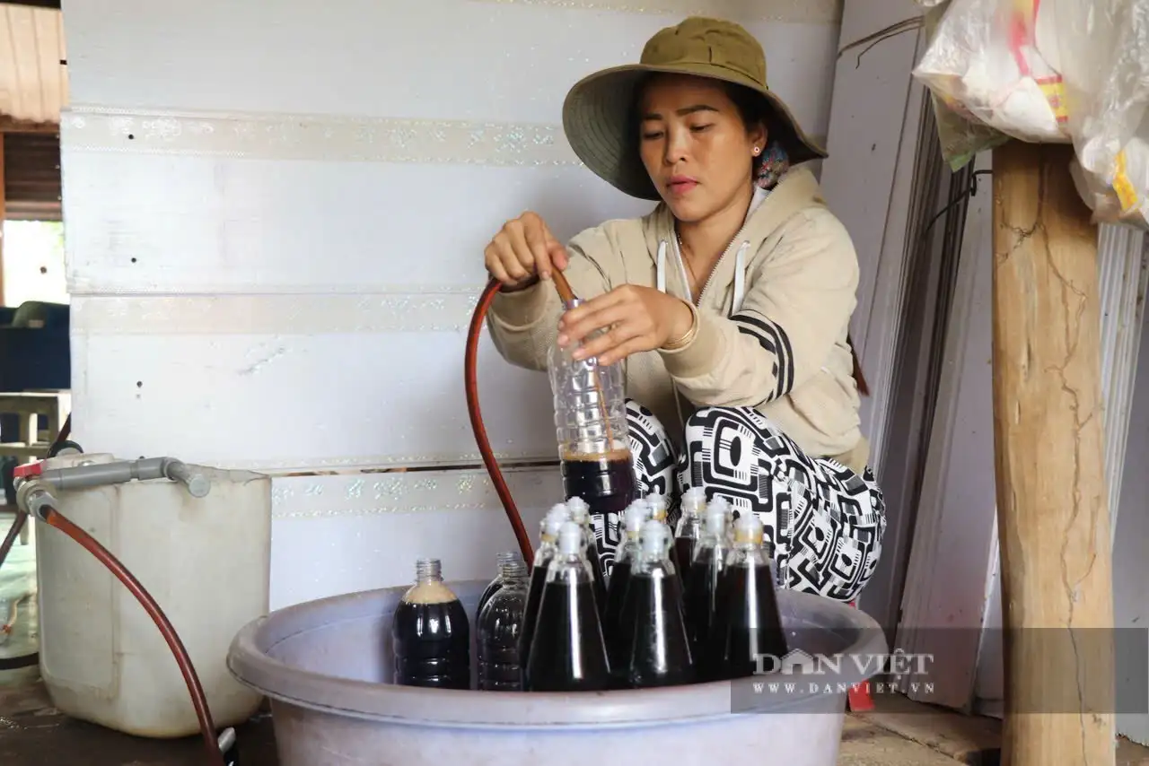 Từ loài cá đặc sản chạy đàn mùa nước nổi, một phụ nữ An Giang làm ra thứ nước mắm đạt 3 sao OCOP, cả làng khen thơm
