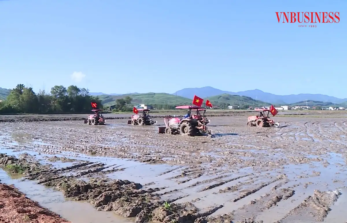 Từ trung tâm nuôi cấy mô đến làng nghề nông nghiệp công nghệ cao trong nông thôn mới Hà Tĩnh