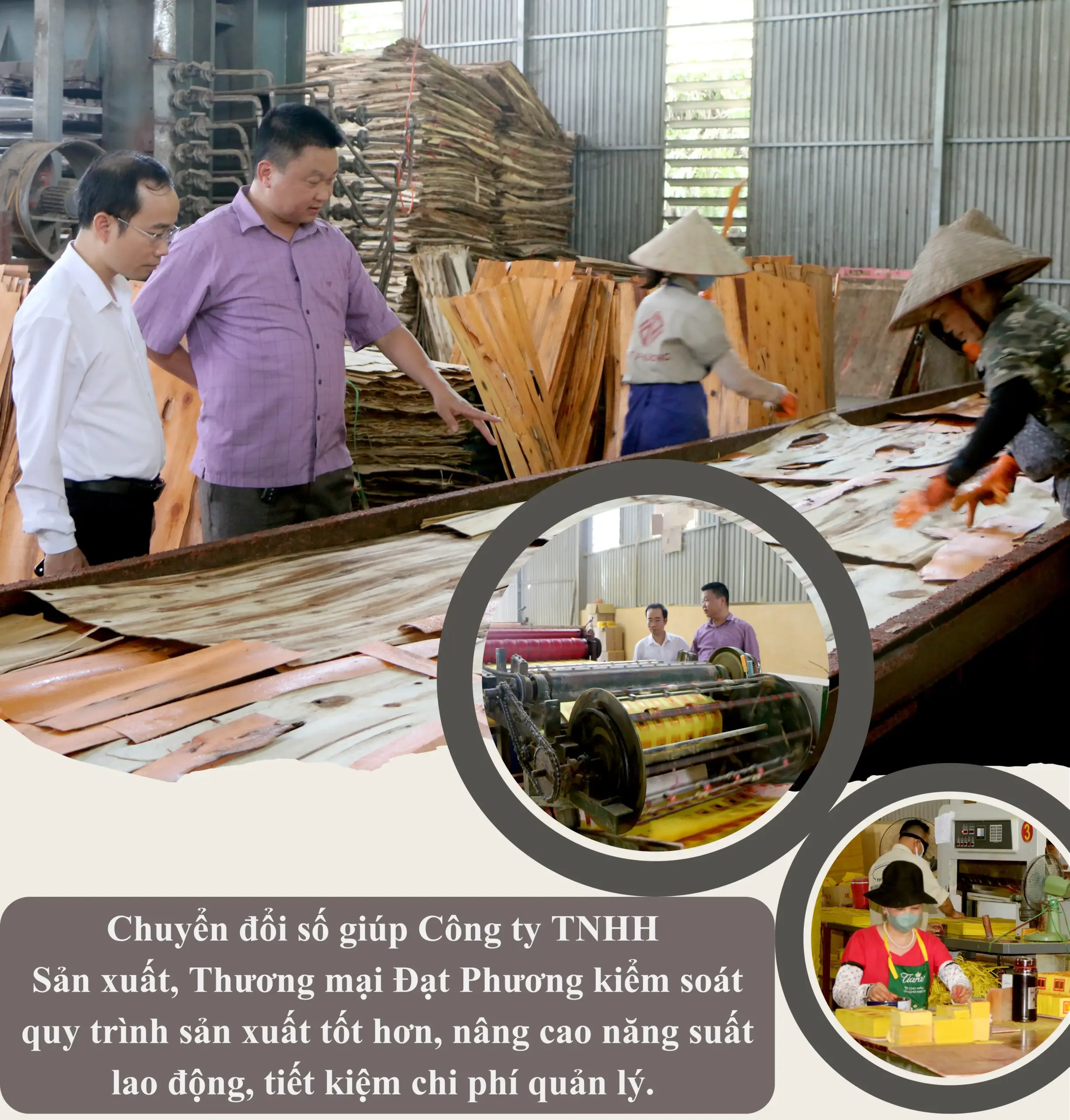 Số hóa để phát triển bền vững
