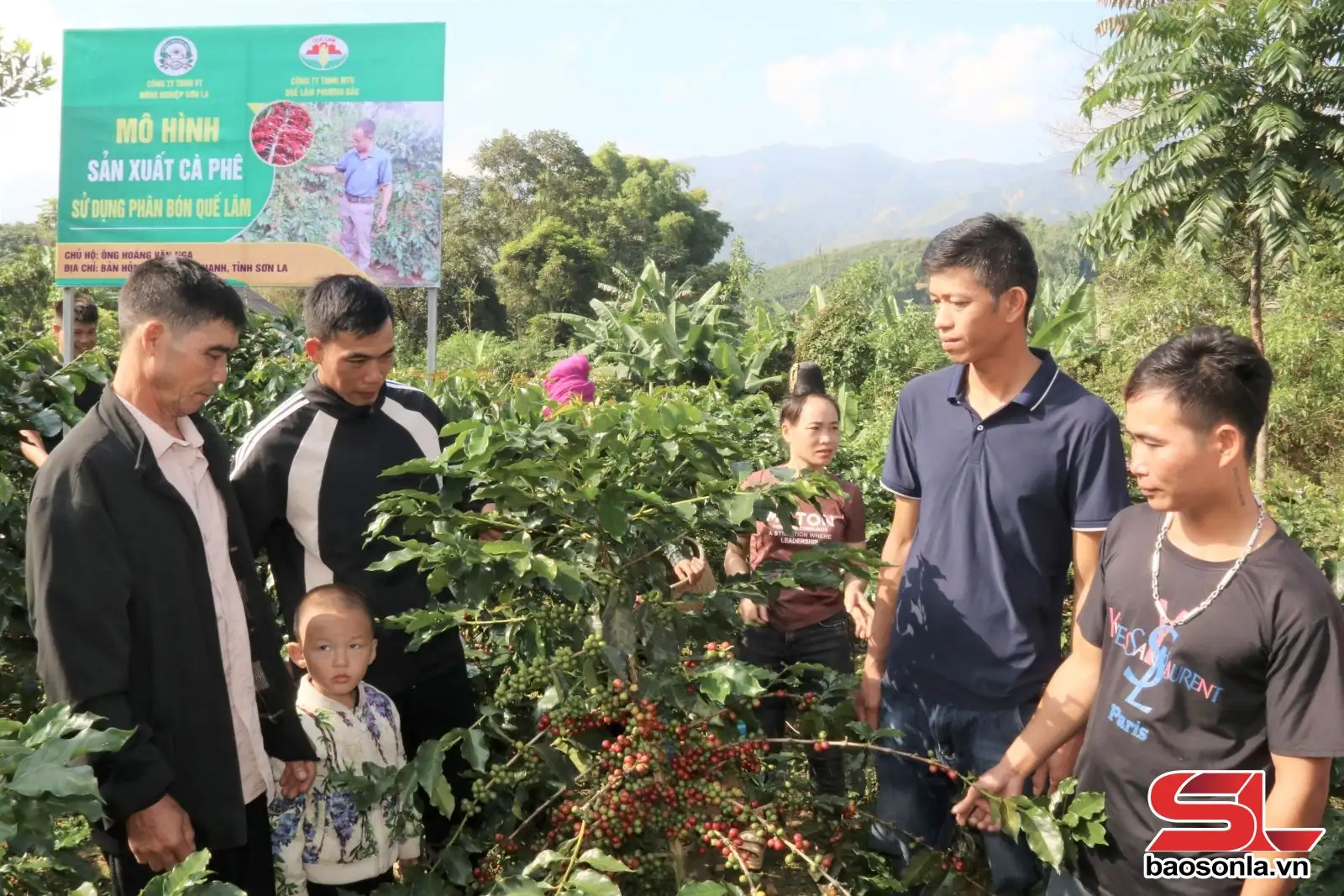 Phát huy lực lượng tiên phong trong phát triển nông nghiệp bền vững