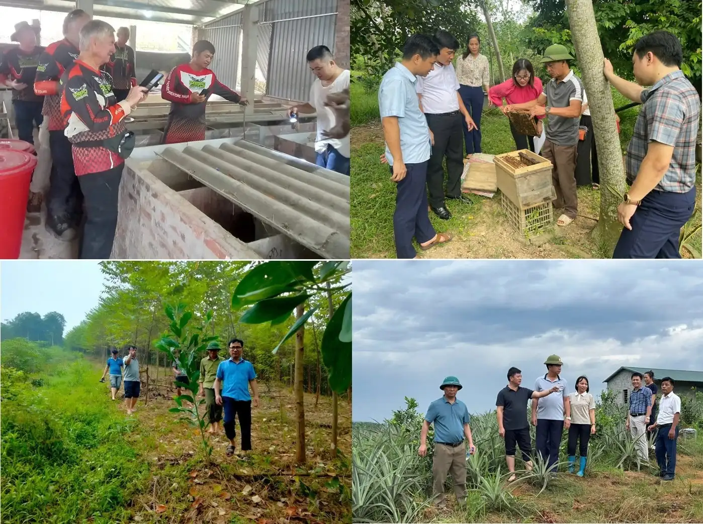 Phú Thọ: Tạo động lực, khơi dậy ý chí thoát nghèo bền vững