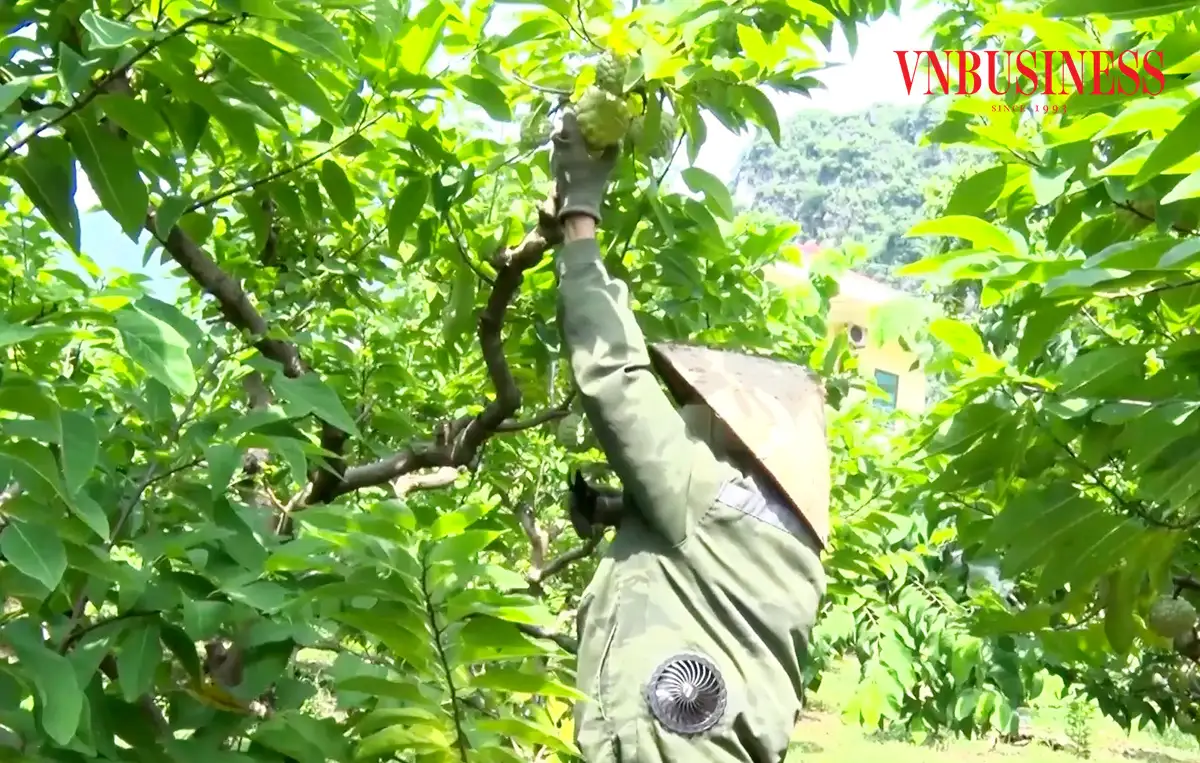 Có một ‘trái tim’ trong hành trình xây dựng nông thôn mới ở Lạng Sơn