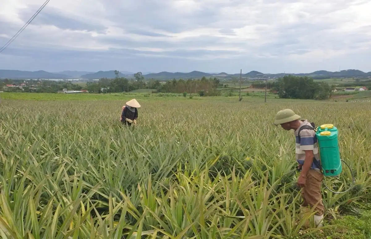 Công nghệ sinh học – động lực mới cho nông nghiệp Nghệ An