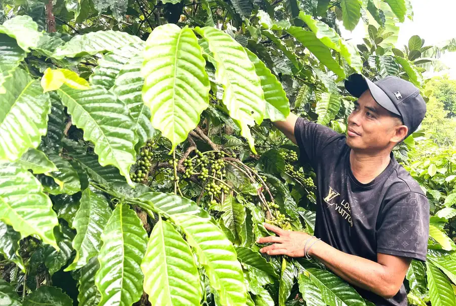 Ia Ko quyết tâm giảm nghèo