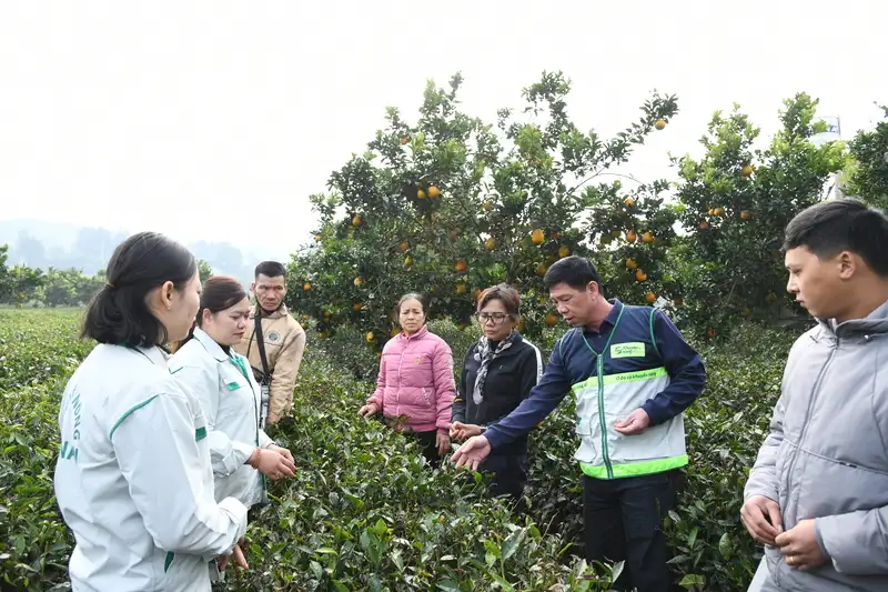 Triển khai Thông tư hướng dẫn hệ thống khuyến nông cấp tỉnh, xã