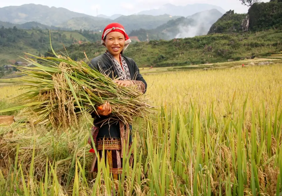 Hướng tới quản trị nguồn lực thống nhất đề giảm nghèo bền vững