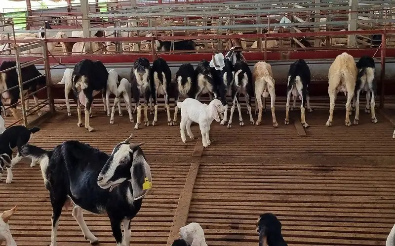 Ninh Bình: Thực hiện hiệu quả, đồng bộ các chính sách về giảm nghèo