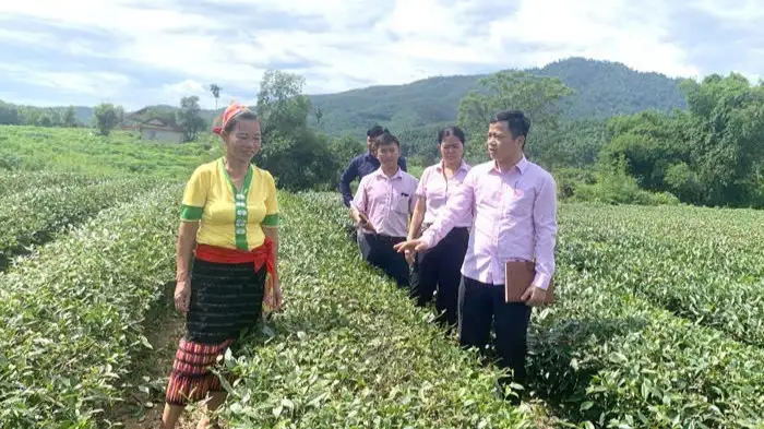 Vốn tín dụng chính sách góp lực đổi thay miền núi biên giới Nghệ An