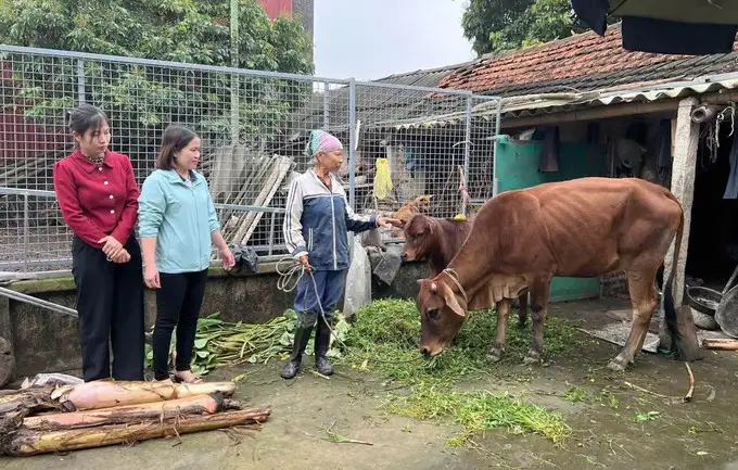 Vững bước trên hành trình giảm nghèo bền vững