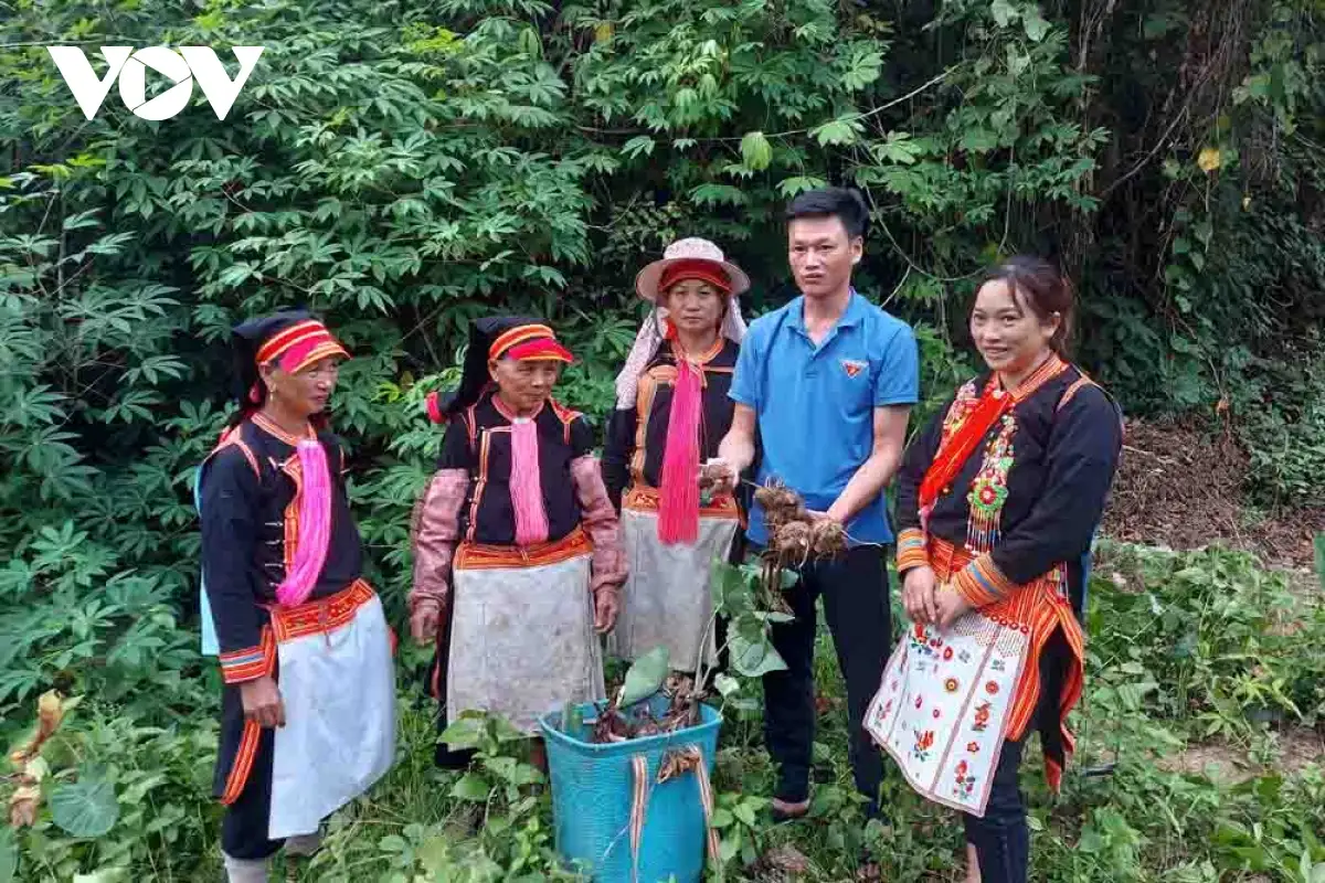 Vững bước trên hành trình giảm nghèo ở biên giới Phong Thổ, Lai Châu