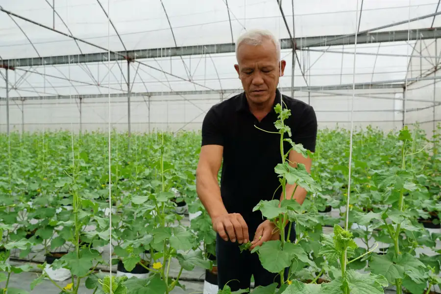 Vươn lên làm giàu nhờ chuyển đổi số trong sản xuất nông nghiệp