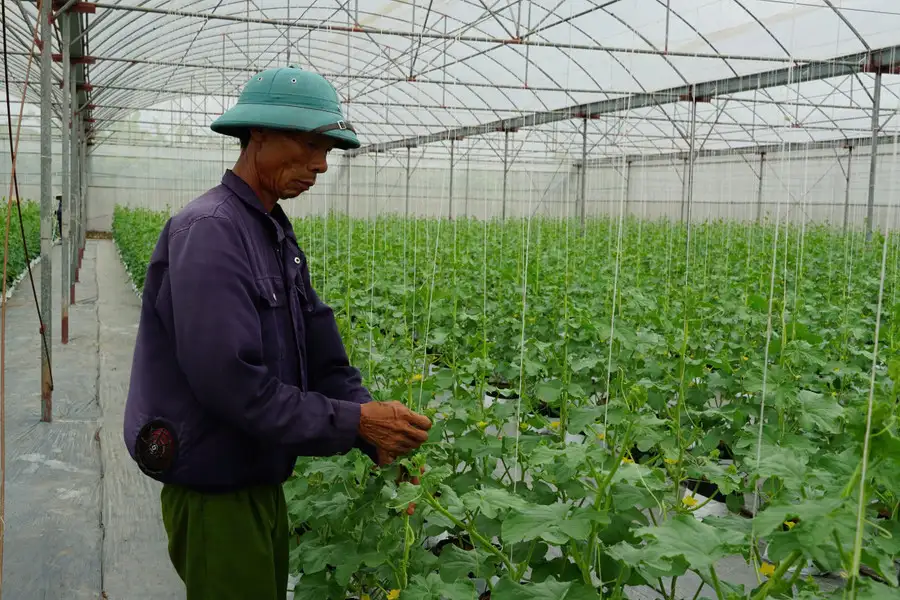 Vươn lên làm giàu nhờ chuyển đổi số trong sản xuất nông nghiệp