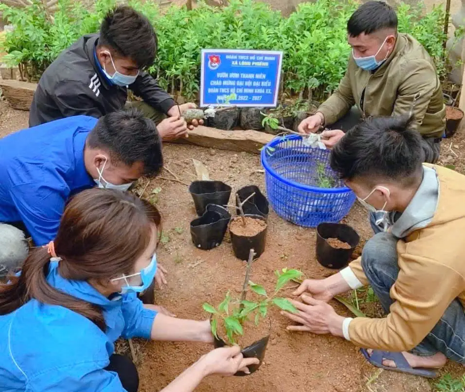 Vườn ươm thanh niên phát triển kinh tế, xóa đói giảm nghèo vùng phên dậu