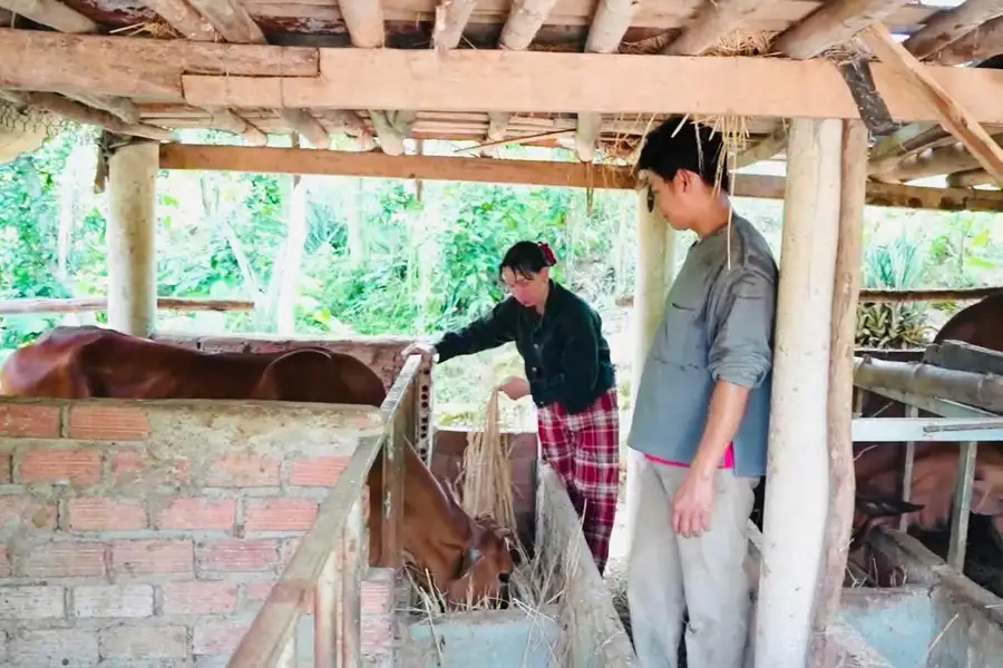 Vượt lên từ gian khó, kiên trì hướng tới giảm nghèo bền vững