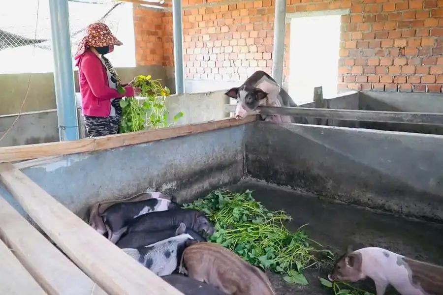 Vượt lên từ gian khó, kiên trì hướng tới giảm nghèo bền vững