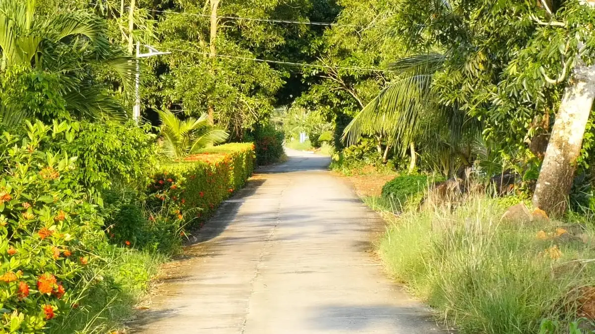 Xã Khánh Lâm nỗ lực giảm nghèo bằng mô hình nông nghiệp hiệu quả