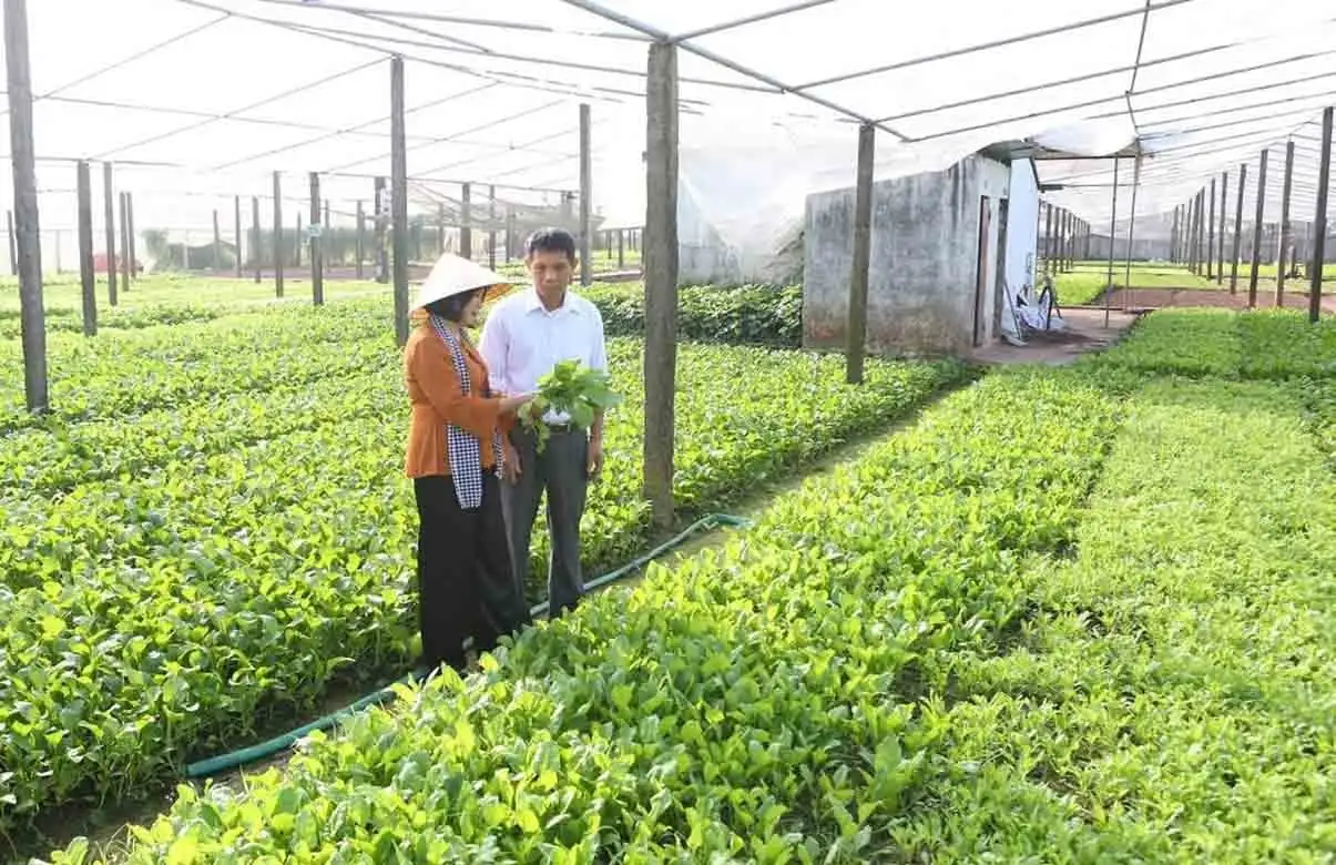 Xây dựng nông thôn mới ở Hà Nội:Kinh tế nông thôn chuyển mình mạnh mẽ