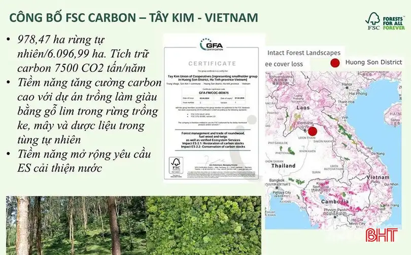 Xây dựng sinh kế bền vững từ phát triển rừng