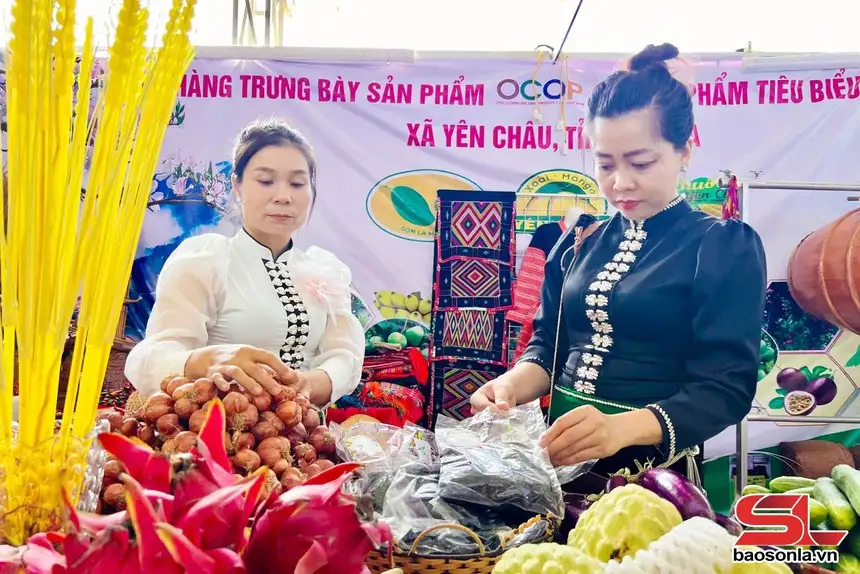 Xúc tiến thương mại cho nông sản và sản phẩm OCOP vùng dân tộc thiểu số và miền núi khu vực Tây Bắc