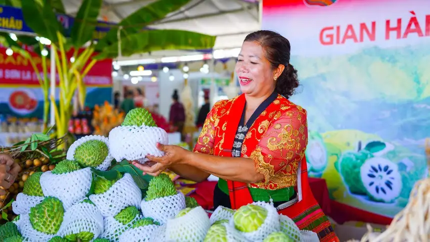 Xúc tiến thương mại cho nông sản và sản phẩm OCOP vùng dân tộc thiểu số và miền núi khu vực Tây Bắc