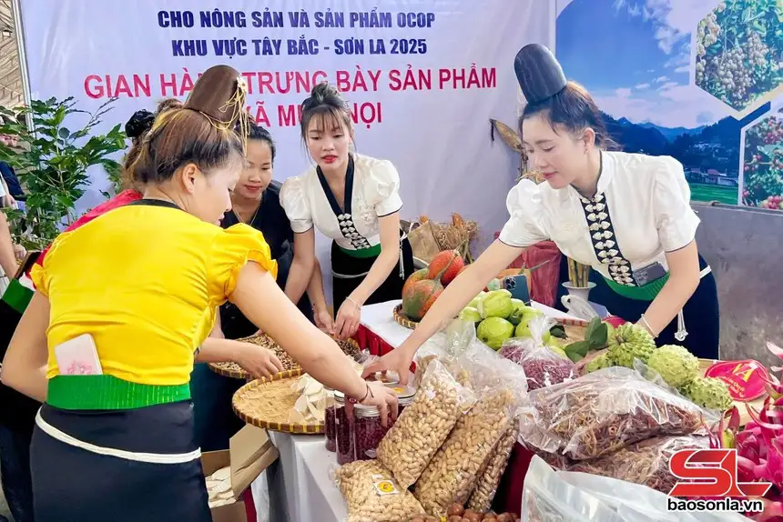 Xúc tiến thương mại cho nông sản và sản phẩm OCOP vùng dân tộc thiểu số và miền núi khu vực Tây Bắc