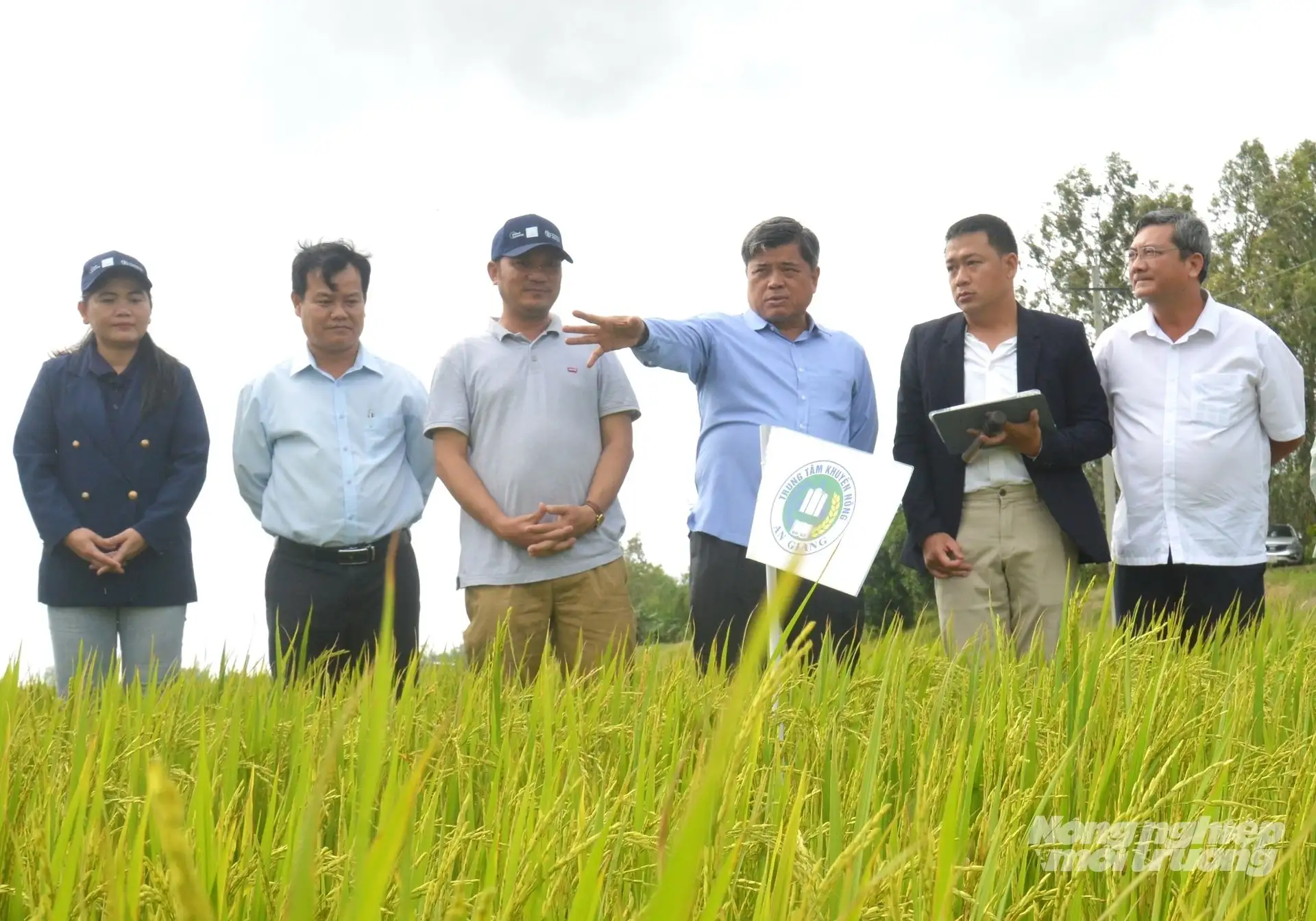 An Giang đưa kinh tế hợp tác thành ‘xương sống’ của chuỗi liên kết nông sản