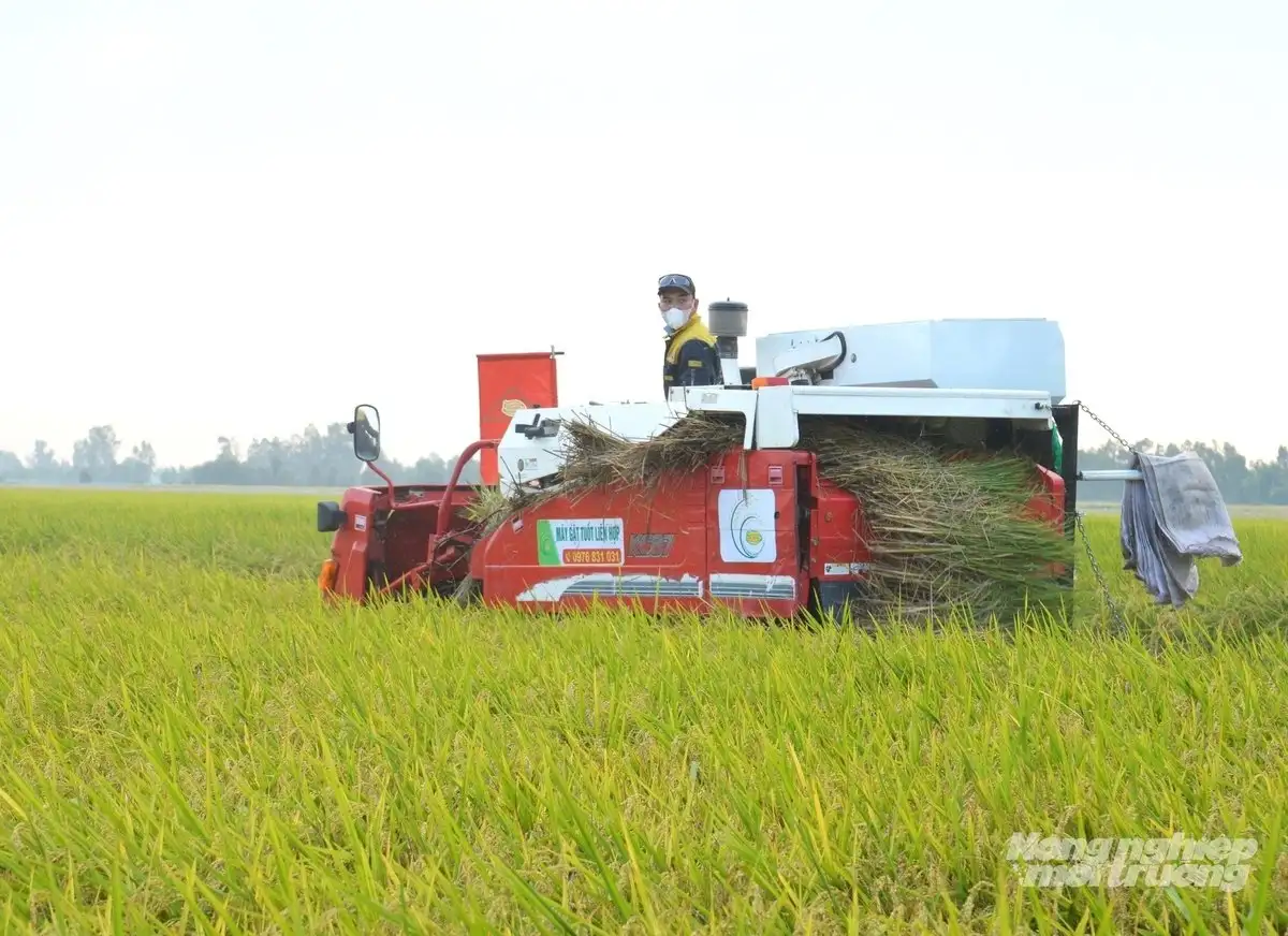 An Giang với thế hệ nông dân chuyên nghiệp, giỏi làm kinh tế