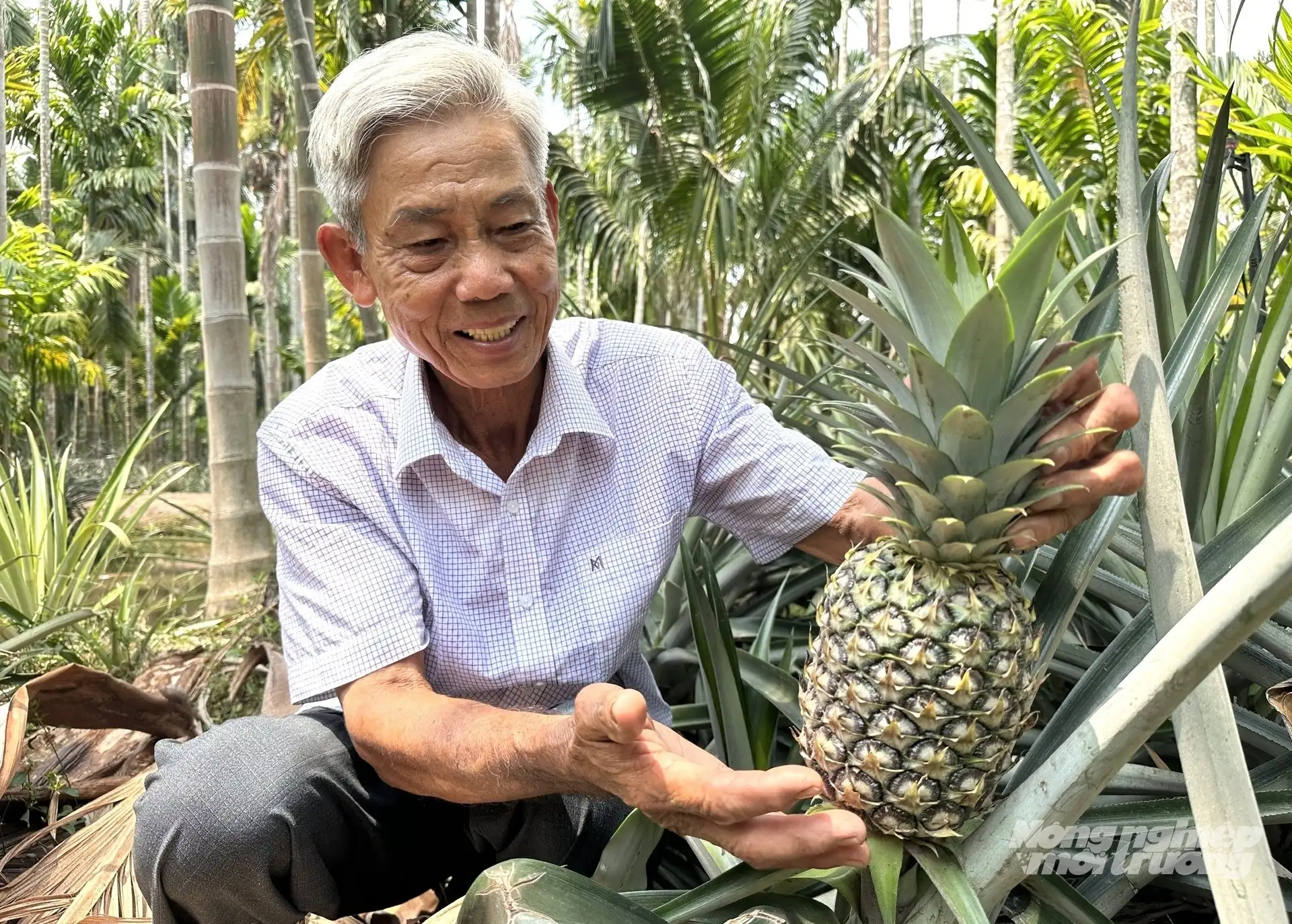 An Giang với thế hệ nông dân chuyên nghiệp, giỏi làm kinh tế