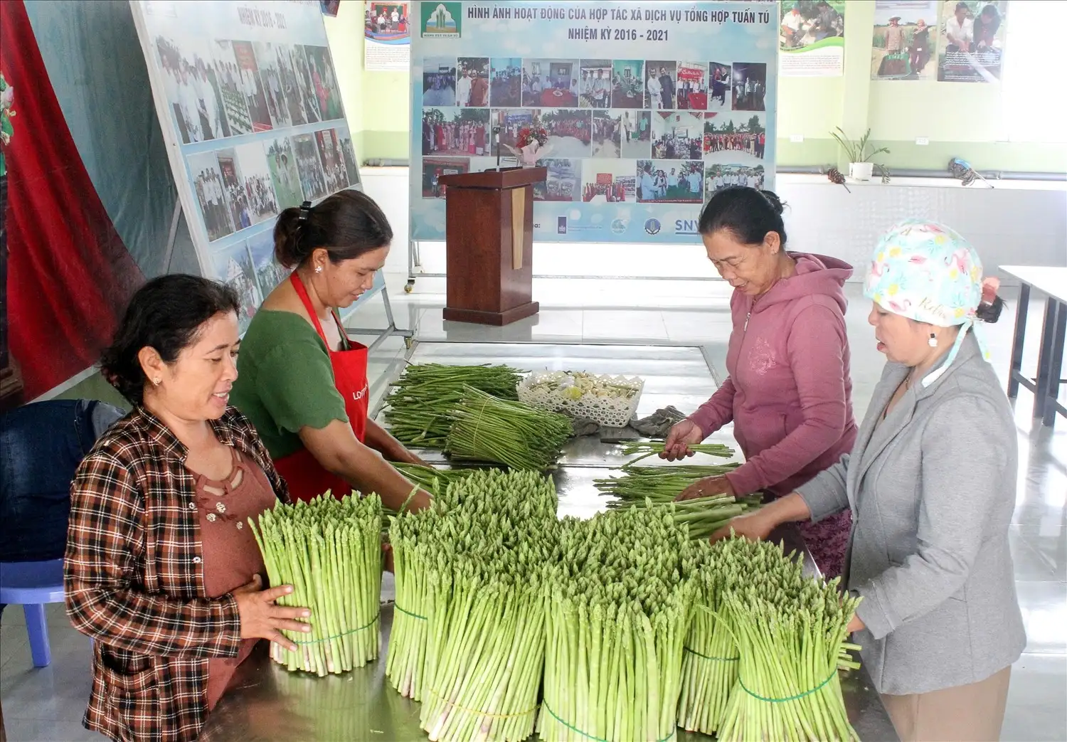 Bảo hộ thương hiệu măng tây xanh Tuấn Tú sản phẩm OCOP 3 sao