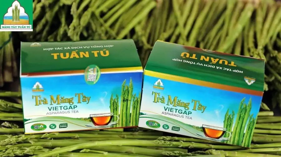 Bảo hộ thương hiệu măng tây xanh Tuấn Tú sản phẩm OCOP 3 sao