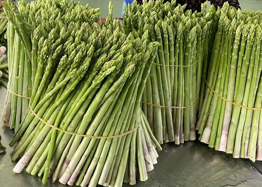 Bảo hộ thương hiệu măng tây xanh Tuấn Tú sản phẩm OCOP 3 sao