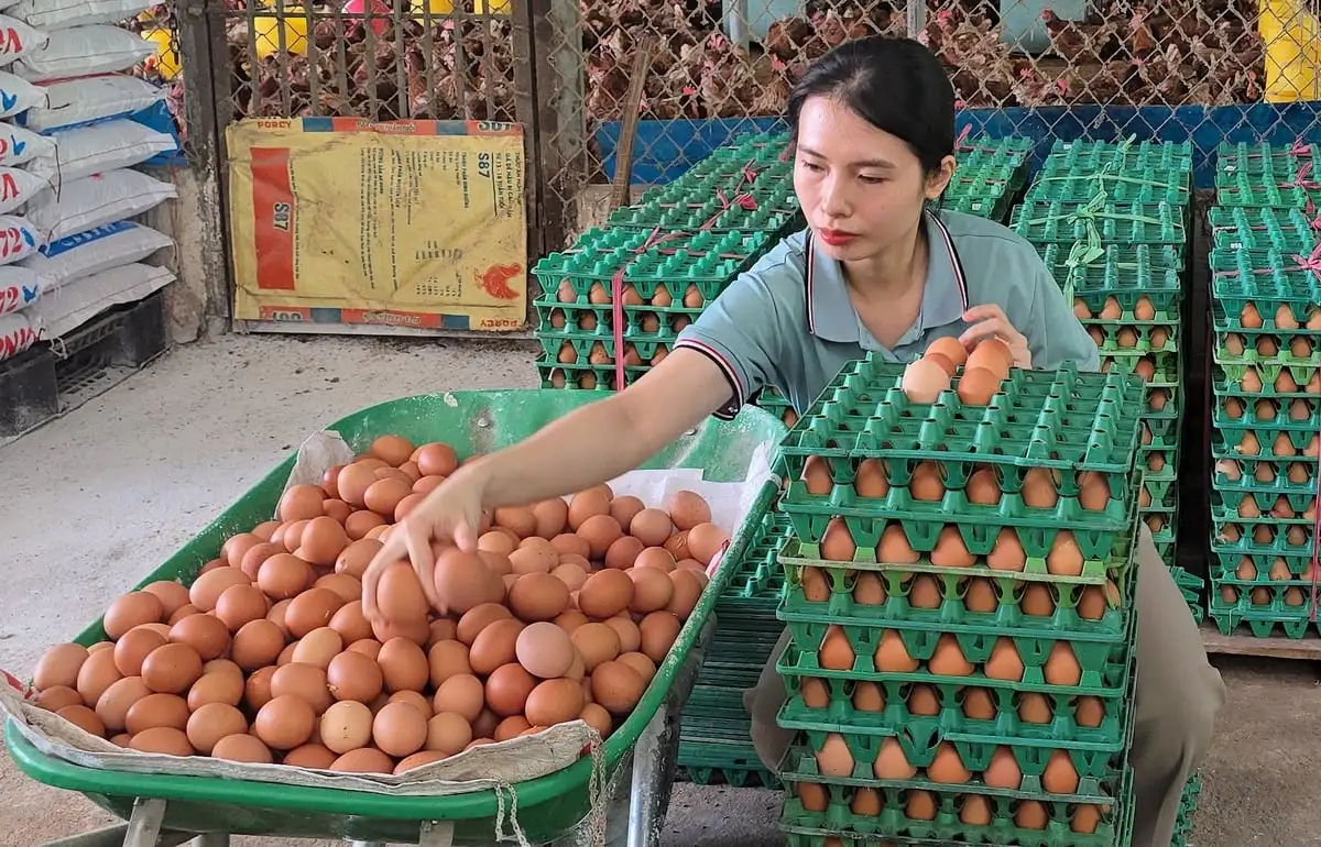 Bước chuyển OCOP Đồng Nai: [Bài 2] Mở kênh phân phối mới