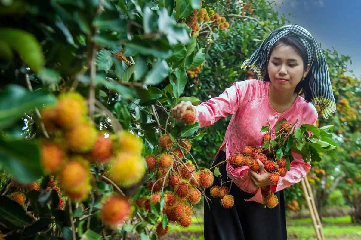 Bước chuyển OCOP Đồng Nai: [Bài 2] Mở kênh phân phối mới