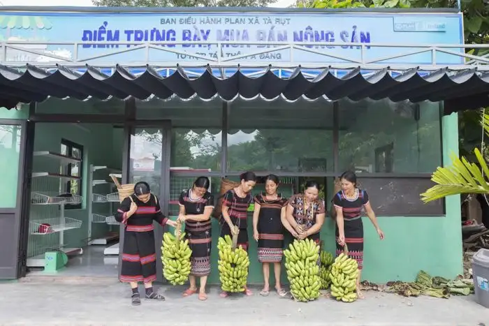 Cây ‘xóa nghèo’ của người Pa Kô