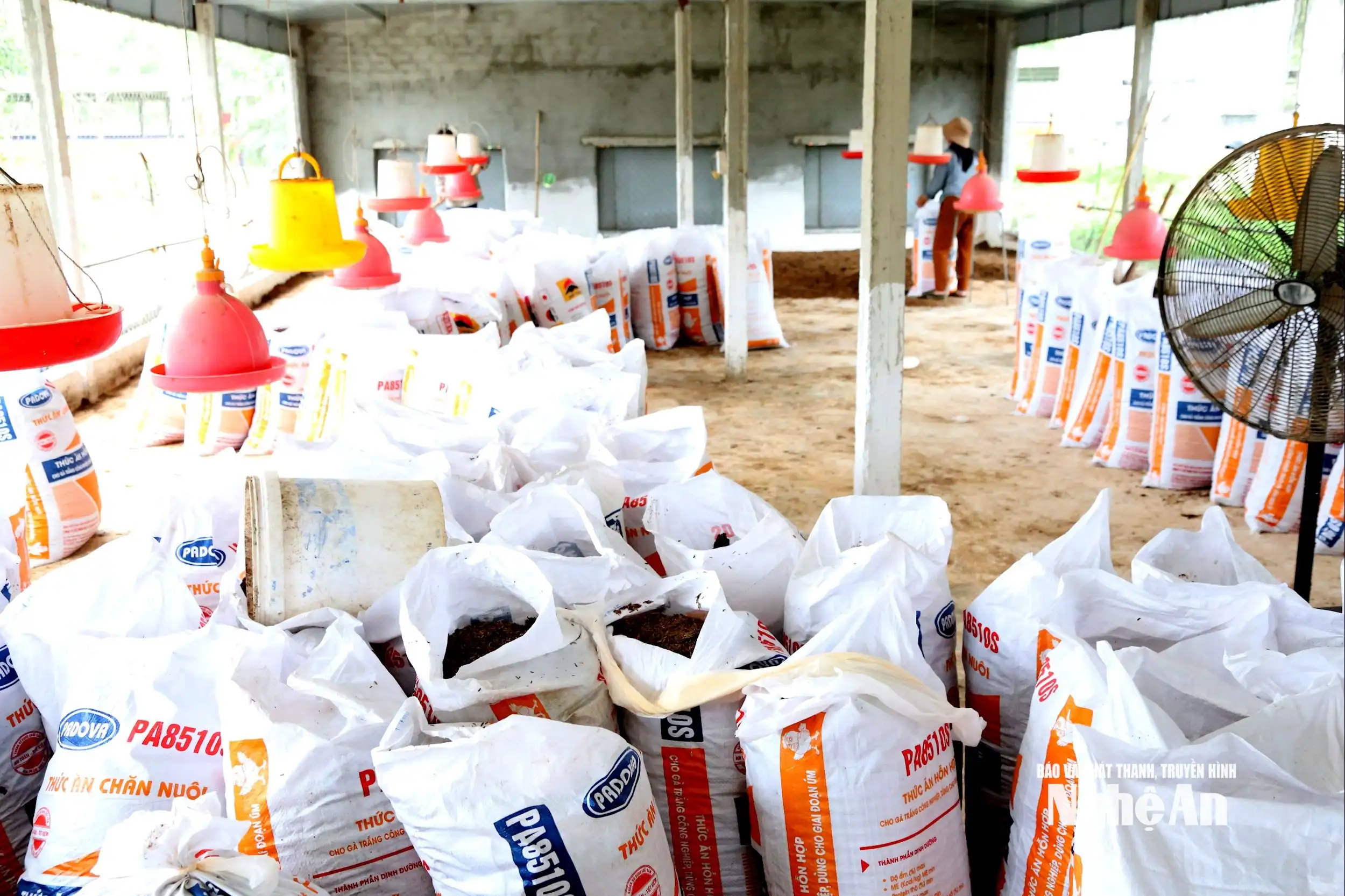 Chăn nuôi gà bằng đệm lót sinh học, mô hình kinh tế tuần hoàn trong xây dựng nông thôn mới ở xã Bình Minh