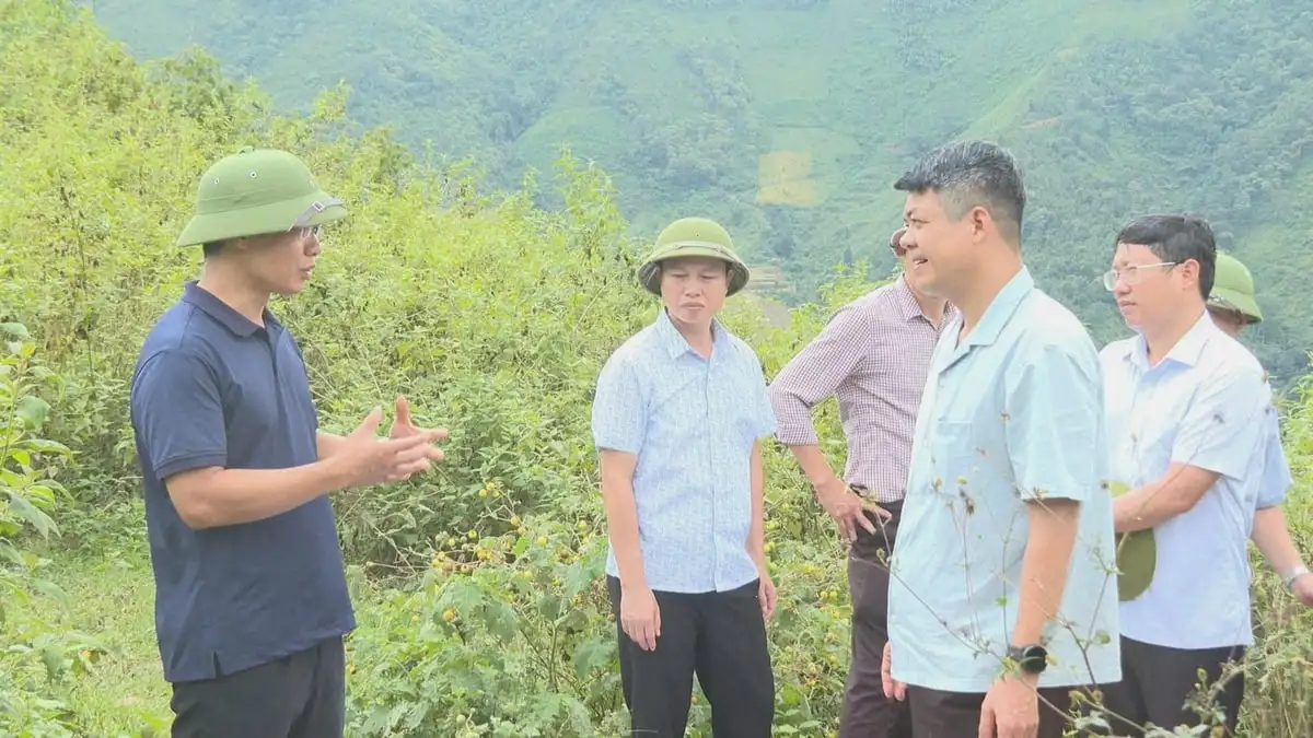 Chiềng Sinh: Phát triển cây mắc ca, cà phê để thoát nghèo