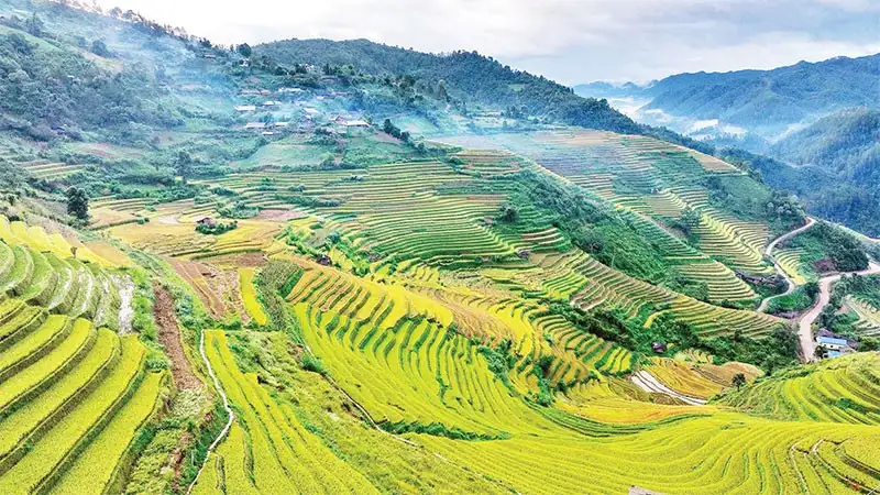 Chính sách bảo hiểm y tế hướng tới mục tiêu giảm nghèo bền vững