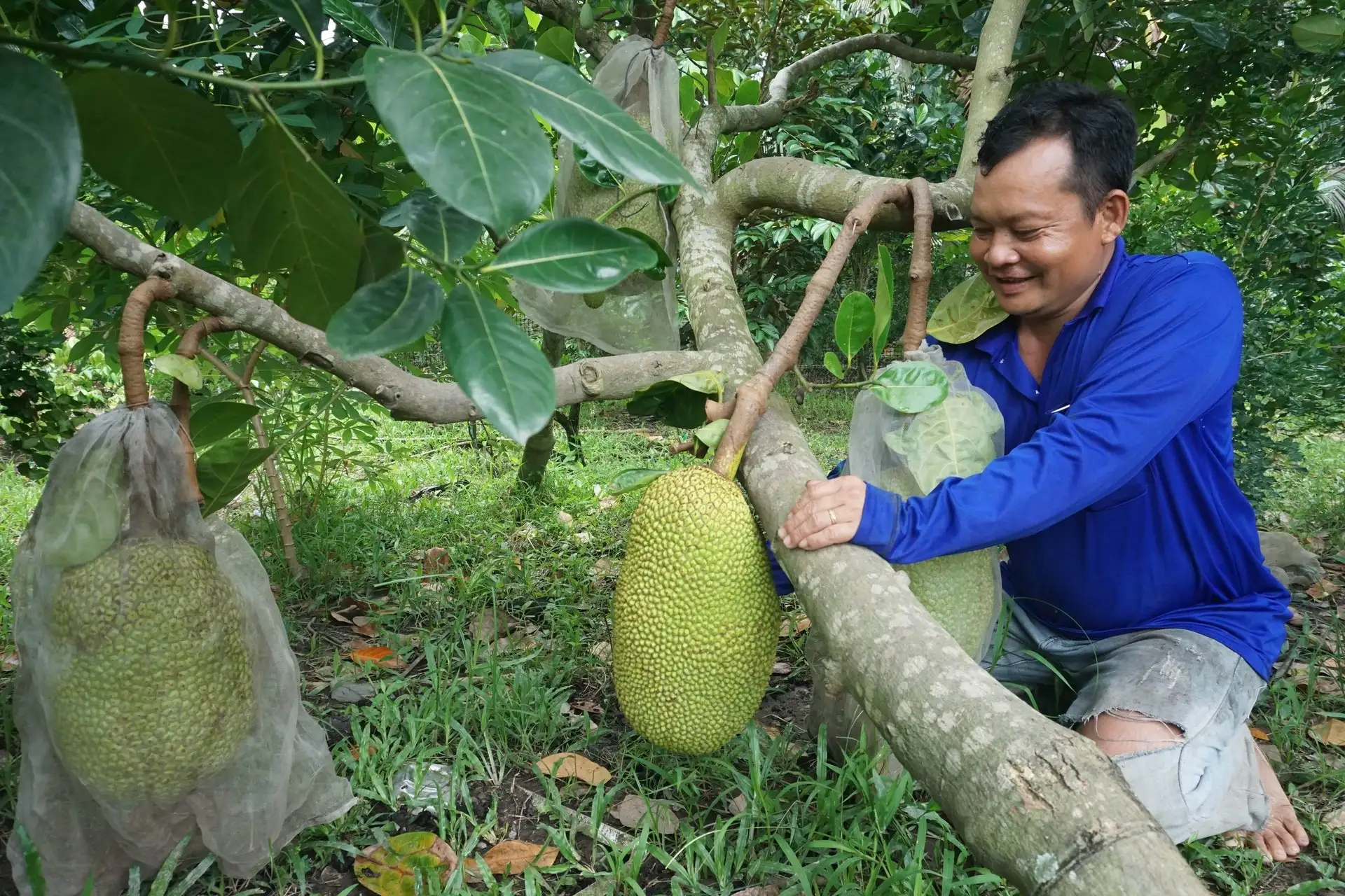 Chính sách giảm nghèo: Mở đường cho cuộc sống bình yên sau lầm lỡ