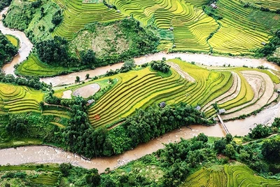 Công tác giảm nghèo ở khu vực miền núi Nghệ An đạt thành tích ấn tượng