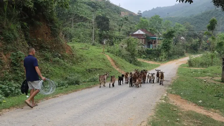 Công tác giảm nghèo ở khu vực miền núi Nghệ An đạt thành tích ấn tượng