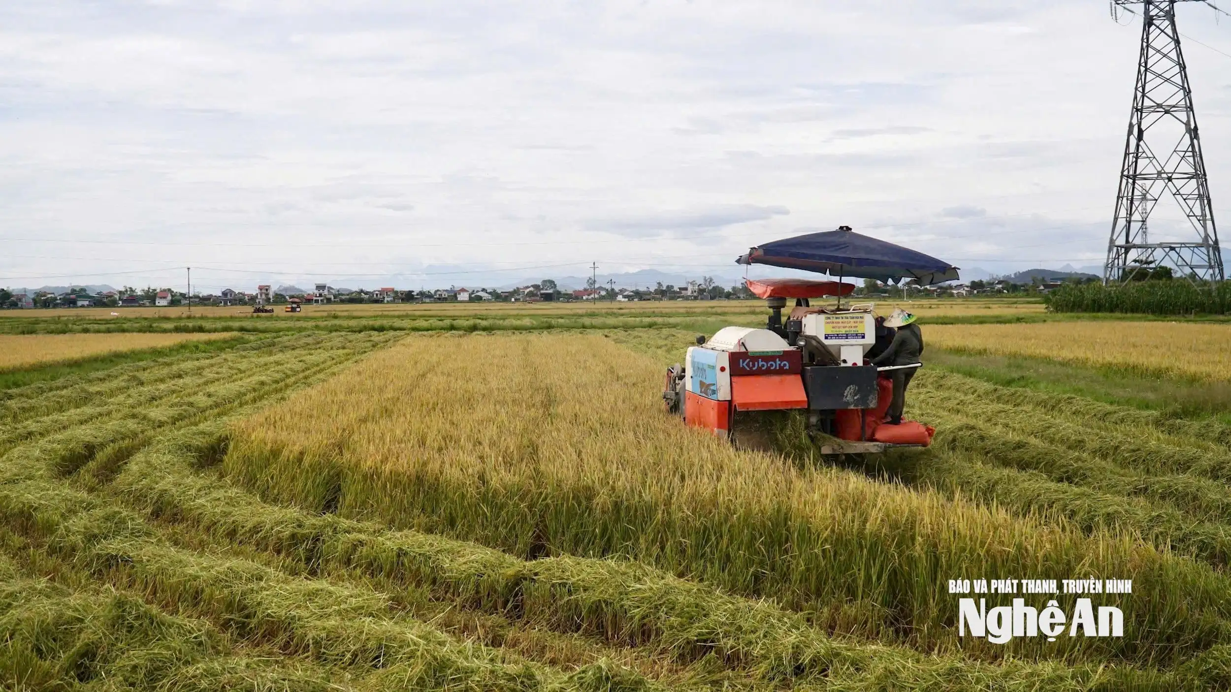 Đảm bảo vệ sinh an toàn thực phẩm, nâng cao chất lượng nông sản