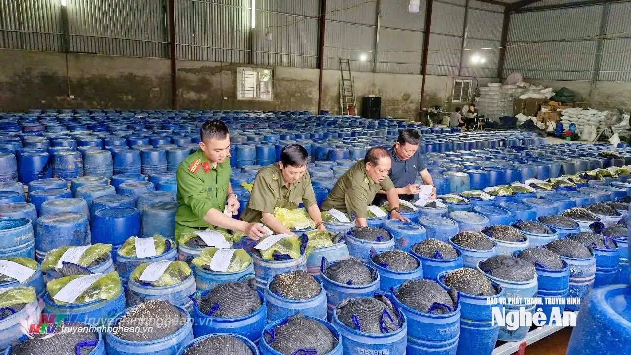 Đảm bảo vệ sinh an toàn thực phẩm, nâng cao chất lượng nông sản