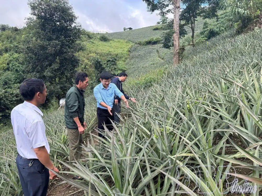 Điểm tựa của phong trào nông thôn mới