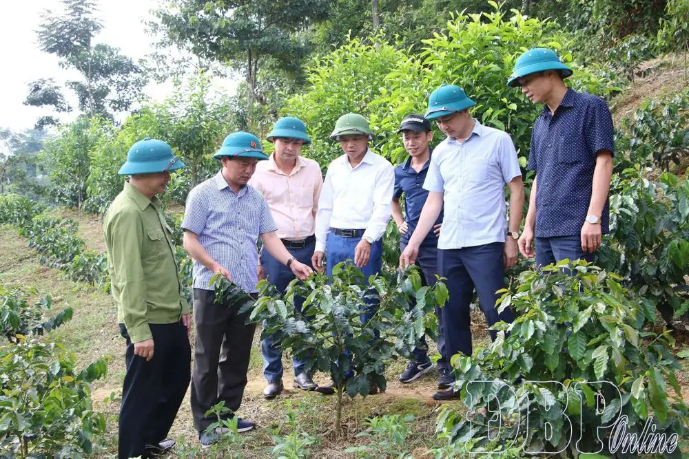 Điểm tựa của phong trào nông thôn mới