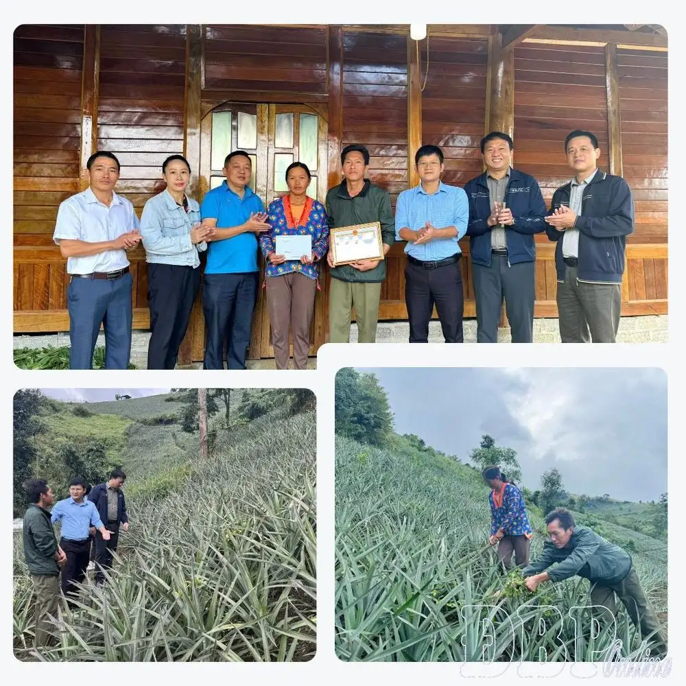 Điểm tựa của phong trào nông thôn mới