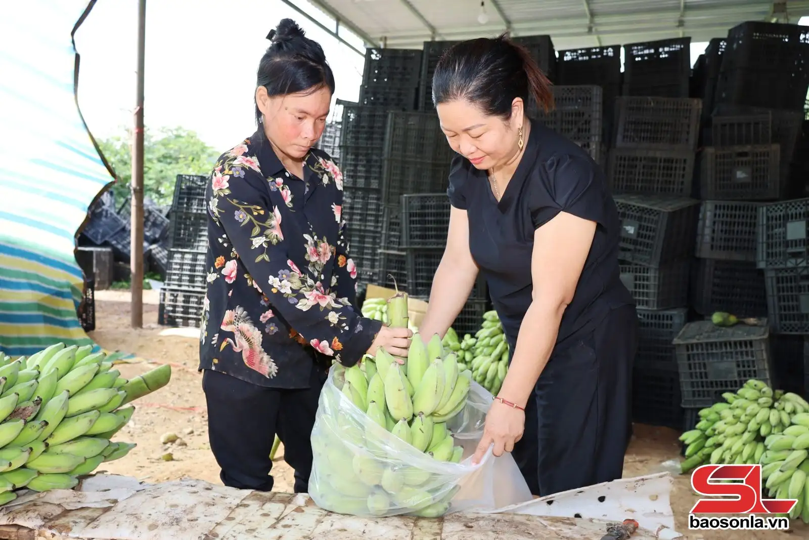 Đoàn kết xây dựng nông thôn mới